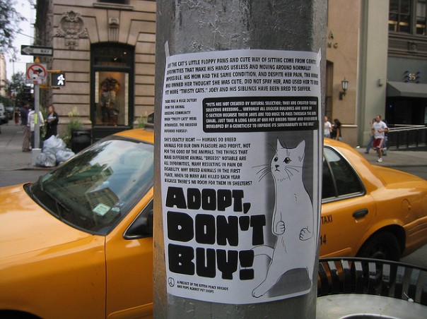adopt-dont-buy